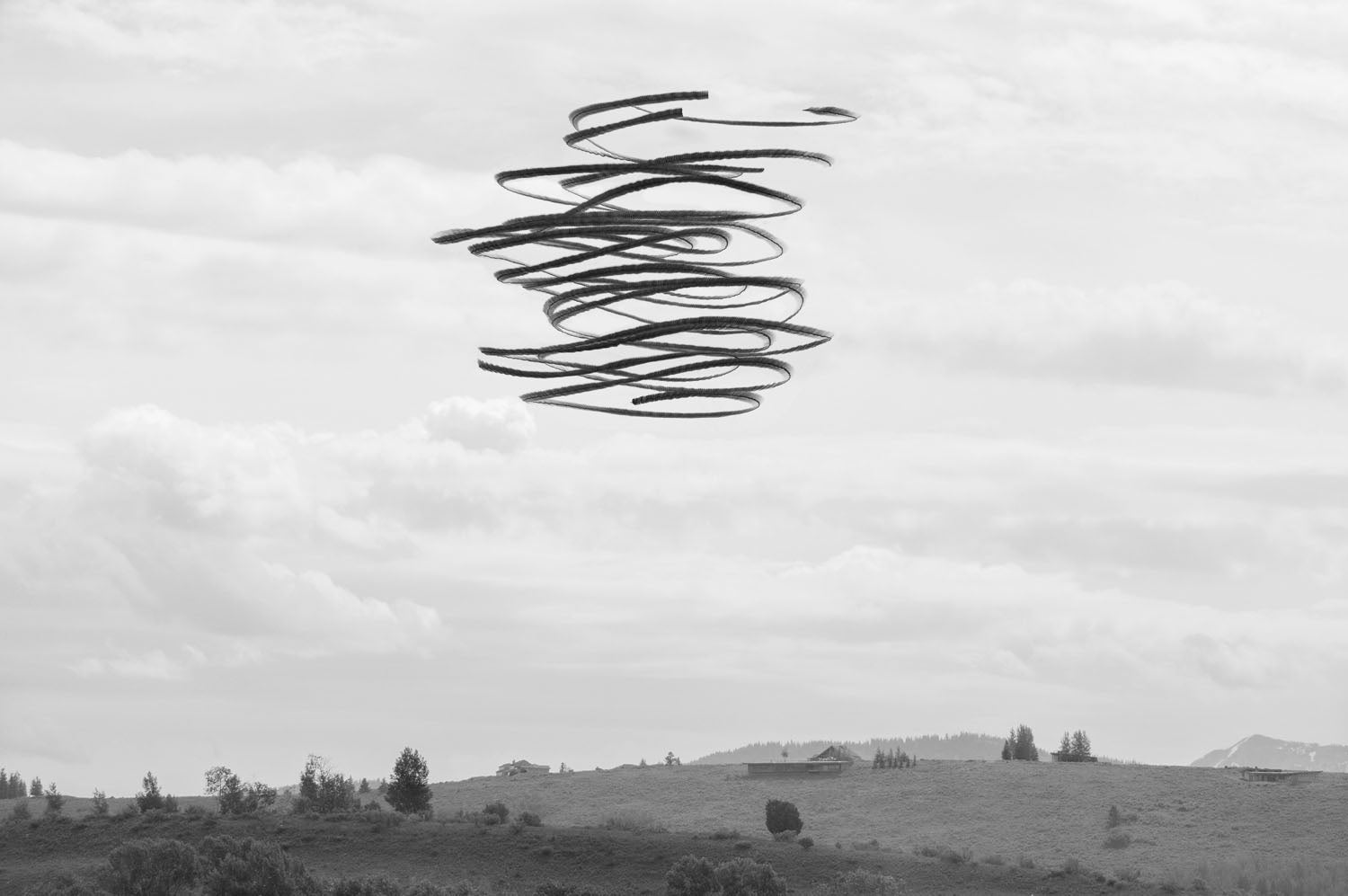 Turkey Vultures, Jackson Hole, USA. Xavi Bou