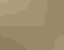 A molting Wood Warbler is posed with its wing outstretched during bird banding on a cocoa farm in Cameroon. Crinan Jarrett