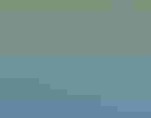 Yellow-billed Loon. Photo: Ryan Askren/USGS